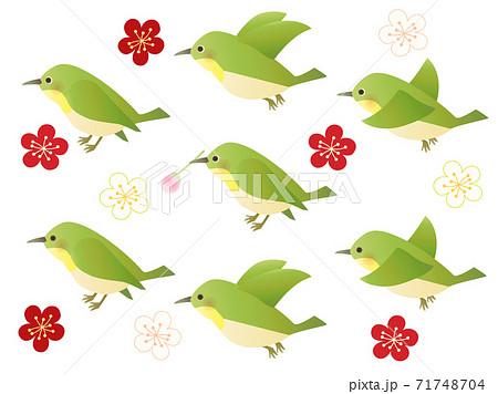 Uguisu Mejiro Tori Set Bird Stock Illustration