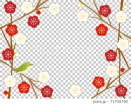 Plum 76 Plum and bird Plum 76 Plum and bird 71748790