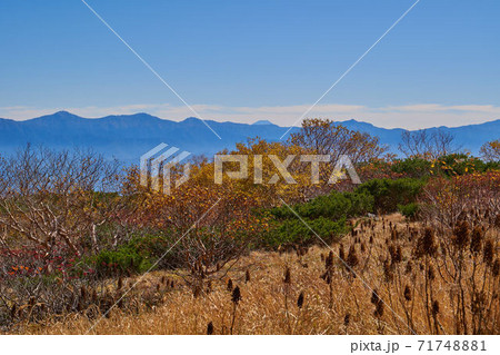 長野県駒ヶ根市の秋の千畳敷カールの剣ヶ池付近から南東側(富士山,南アルプス)眺望 長野県駒ヶ根市の秋の千畳敷カールの剣ヶ池付近から南東側(富士山,南アルプス)眺望 71748881