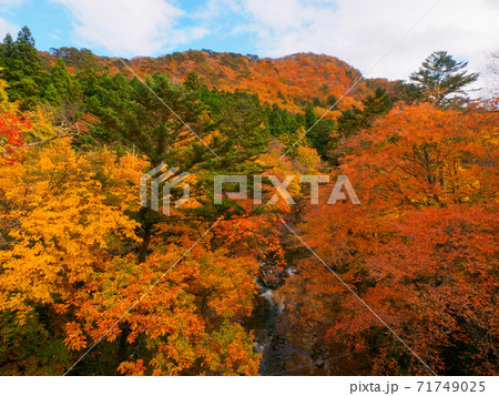 紅葉の山と鹿股川 (那須塩原、栃木県) 紅葉の山と鹿股川 (那須塩原、栃木県) 71749025