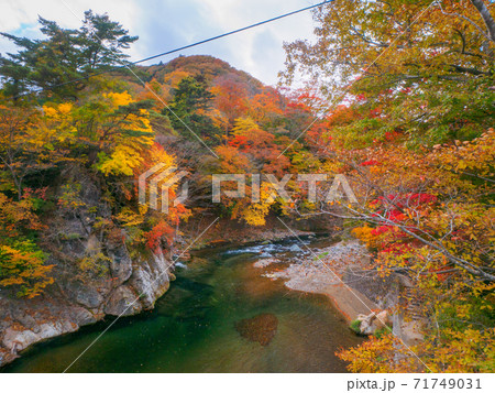 紅葉の箒川 (那須塩原、栃木県) 紅葉の箒川 (那須塩原、栃木県) 71749031