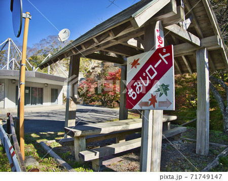 富津もみじロードの紅葉はじめ 富津もみじロードの紅葉はじめ 71749147