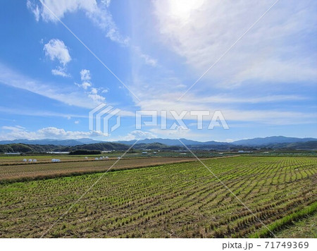 日本の農業　飼料米の出荷風景　転作奨励　減反政策　イメージ　素材　背景 71749369