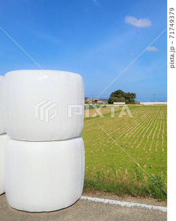 日本の農業 飼料米の出荷風景 転作奨励 減反政策 イメージ 素材 背景 日本の農業 飼料米の出荷風景 転作奨励 減反政策 イメージ 素材 背景 71749379