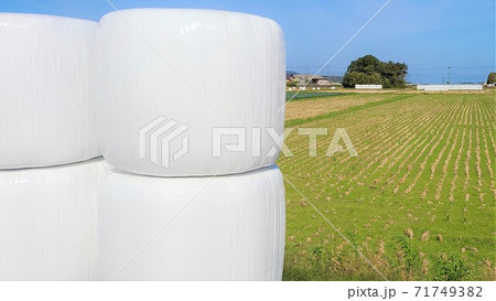 日本の農業　飼料米の出荷風景　転作奨励　減反政策　イメージ　素材　背景 71749382