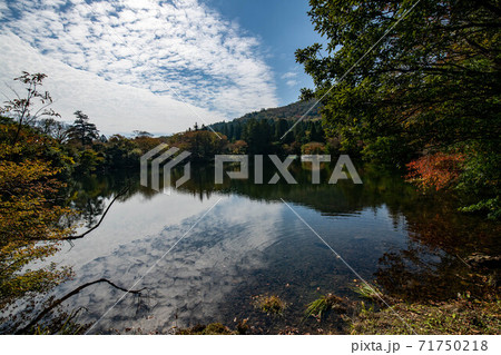 紅葉長崎雲仙温泉の白雲の池と魚 紅葉長崎雲仙温泉の白雲の池と魚 71750218