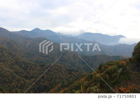 山梨の紅葉 71750801