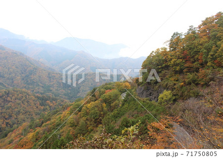 山梨の紅葉 山梨の紅葉 71750805