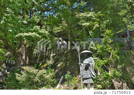 【菅生山 大覚院 大寶寺】 (四国霊場第44番札所) 愛媛県上浮穴郡久万高原町菅生 71750913