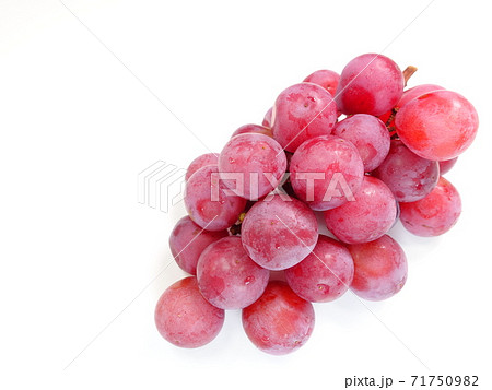 ぶどう　ブドウ　葡萄　クイーンニーナ 71750982