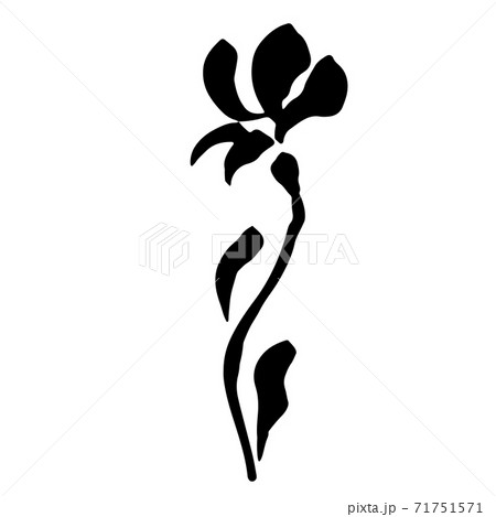 Ink vector brush stroke flower. Vector illustration. Grunge texture. 71751571