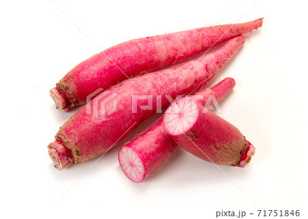 飛鳥あかね蕪 71751846