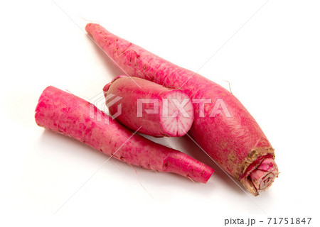 飛鳥あかね蕪 飛鳥あかね蕪 71751847