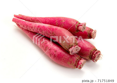 飛鳥あかね蕪 飛鳥あかね蕪 71751849