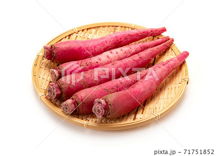 飛鳥あかね蕪 71751852