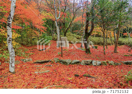 有馬温泉〜瑞宝寺町公園　紅葉 71752132