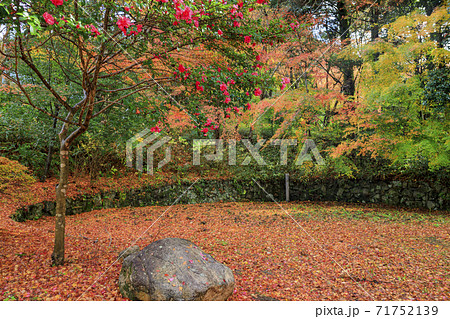 有馬温泉〜瑞宝寺町公園　紅葉 71752139