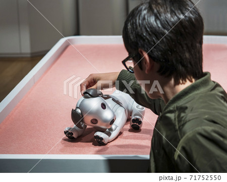 Aibo Robotic pets Humanoid robot interaction with people 71752550