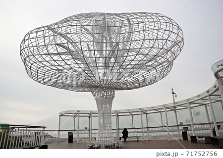 木 火 電灯 71752756