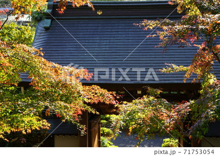 町田市の高蔵寺の紅葉 町田市の高蔵寺の紅葉 71753054