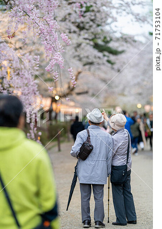 桜を指さす老夫婦　弘前公園　桜まつり 71753104