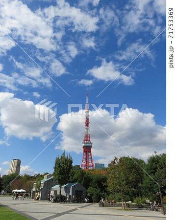 晴れた日、芝公園から見える東京タワー 71753369