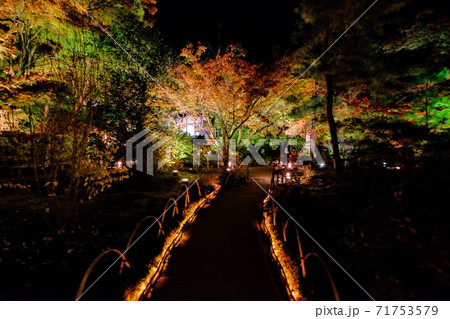 宝厳院の紅葉ライトアップ 宝厳院の紅葉ライトアップ 71753579