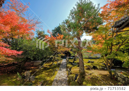 鹿王院の紅葉 鹿王院の紅葉 71753582