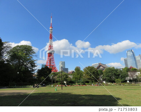 晴れた日、芝公園から見える東京タワー 71753803