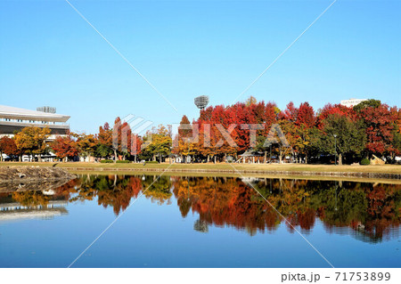 紅葉　岡山総合グラウンド　運動公園 71753899