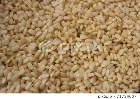 玄米の発芽 71754607