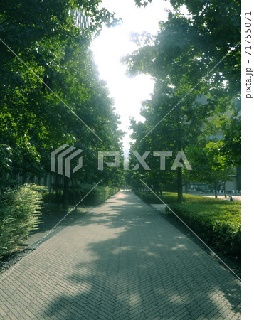 中野四季の森公園 71755071