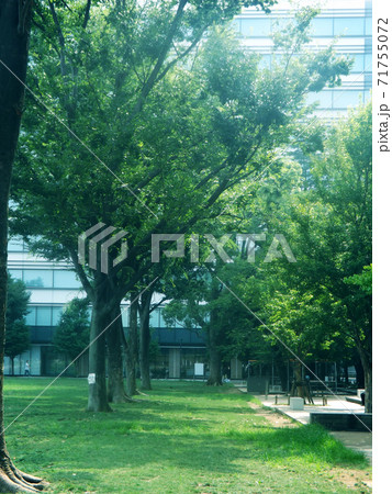 中野四季の森公園 71755072