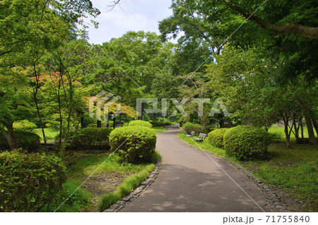 【町田市】芹ヶ谷公園の散策路 71755840