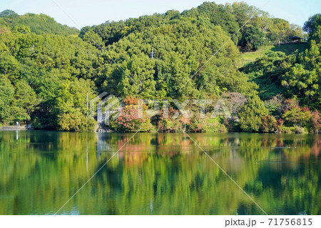 紅葉の水辺 71756815