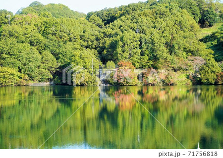 紅葉の水辺 紅葉の水辺 71756818