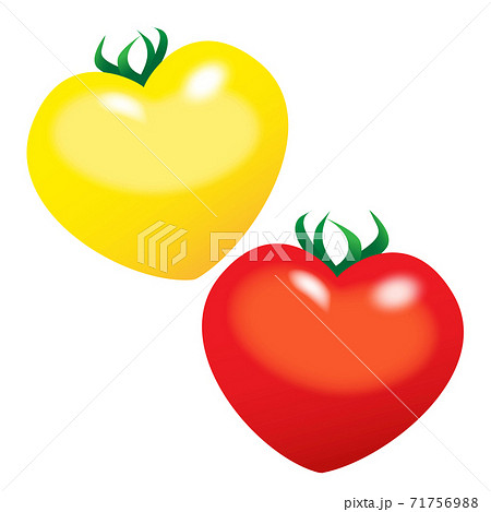 つやつやフレッシュ赤と黄色のハート型トマトのイラスト　heart shaped tomatoes 71756988