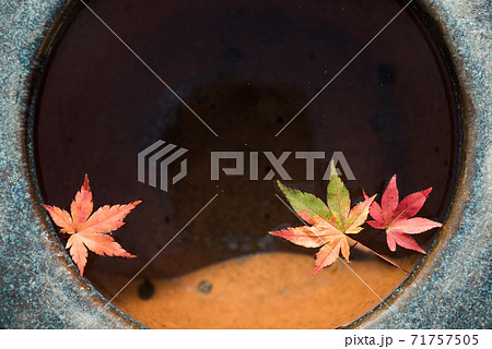 水の上に浮かぶもみじ① 71757505