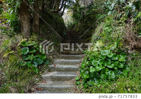 妙伝寺 妙伝寺 71757833