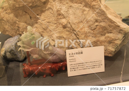 玄武洞ミュージアム 71757872