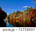 秋の雲場池 71758007