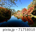 秋の雲場池 71758010