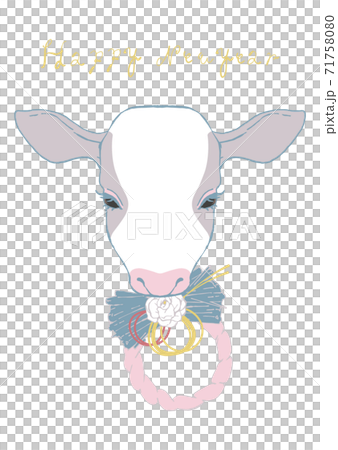 Pink shimenawa ornament and cow celebrating the new year Pink shimenawa ornament and cow celebrating the new year 71758080