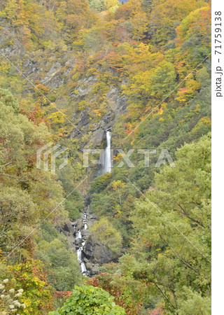 【長野県 小谷村】尾丸滝 【長野県 小谷村】尾丸滝 71759138