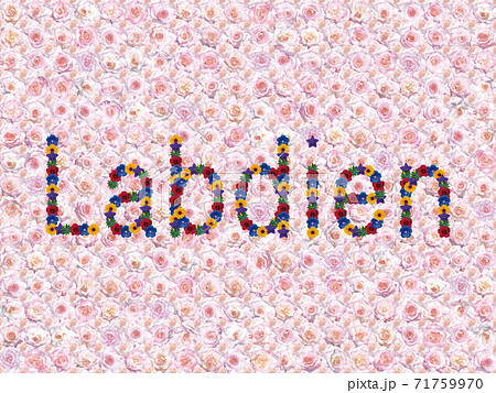 花「こんにちは(ラトビア語_B)」(カリフォルニアドリーミング) 花「こんにちは(ラトビア語_B)」(カリフォルニアドリーミング) 71759970