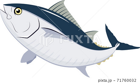まぐろ イラスト 01のイラスト素材