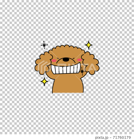 Poodle with glittering teeth Poodle with glittering teeth 71760179