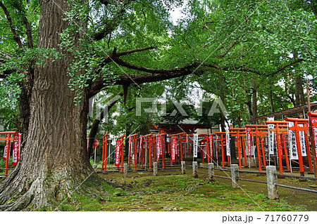 街風景　豊島区雑司ヶ谷 71760779