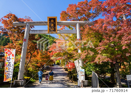 東郷公園秩父御嶽神社の紅葉 71760914
