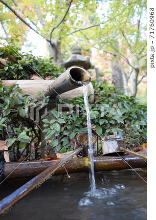 京都　龍安寺　秋　鹿威し 71760968
